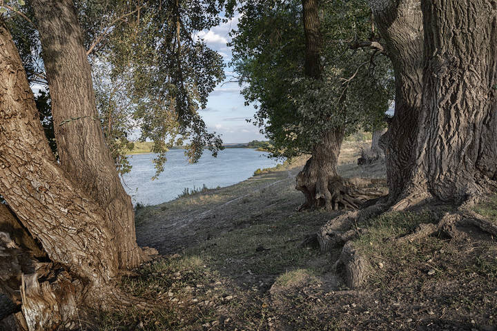 Берег Великанов