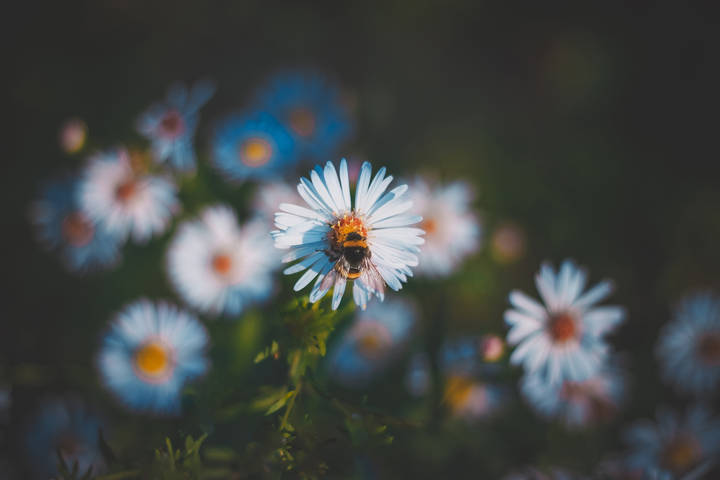 5f6a76c1e2cfda0ea17471e6
