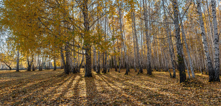 Погожий день.