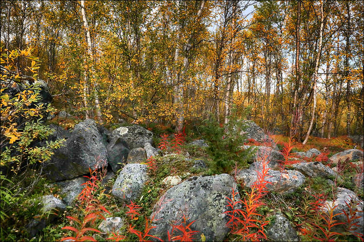 Осень на Кольском