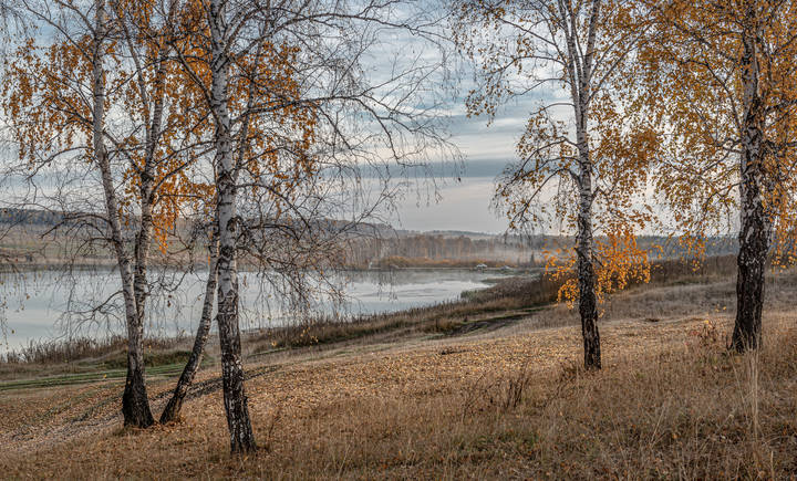 Последние погожие денёчки.