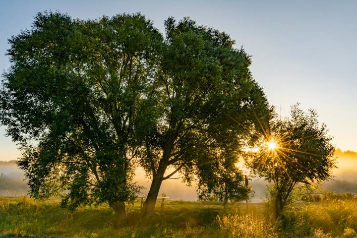 Козелецкие туманы