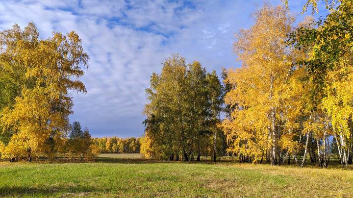 Осень на закате дня