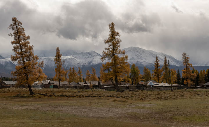 Осенний Курай.