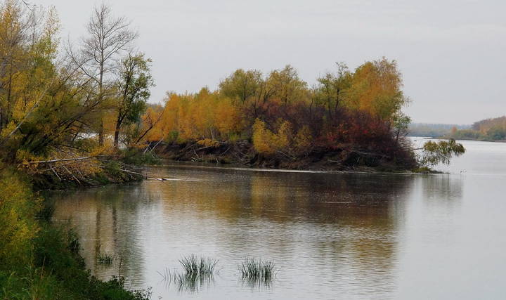 Островок на р.Иртыш.