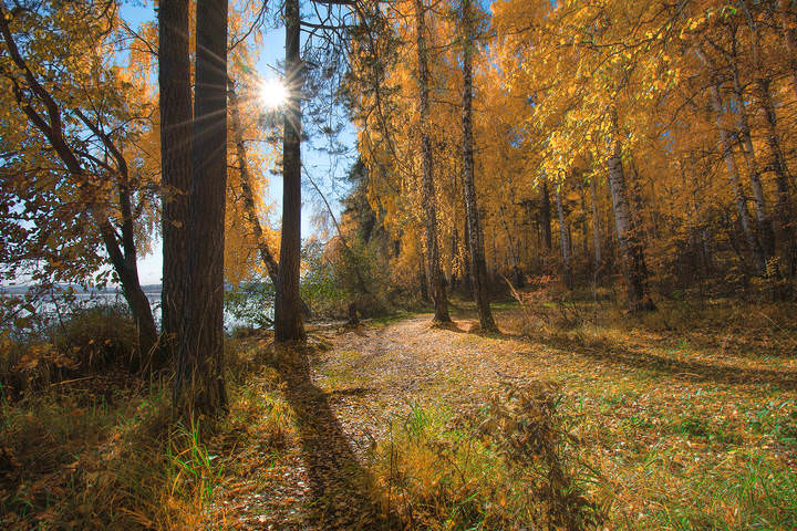 Осенняя тропа