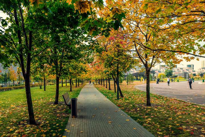 Осень в красках
