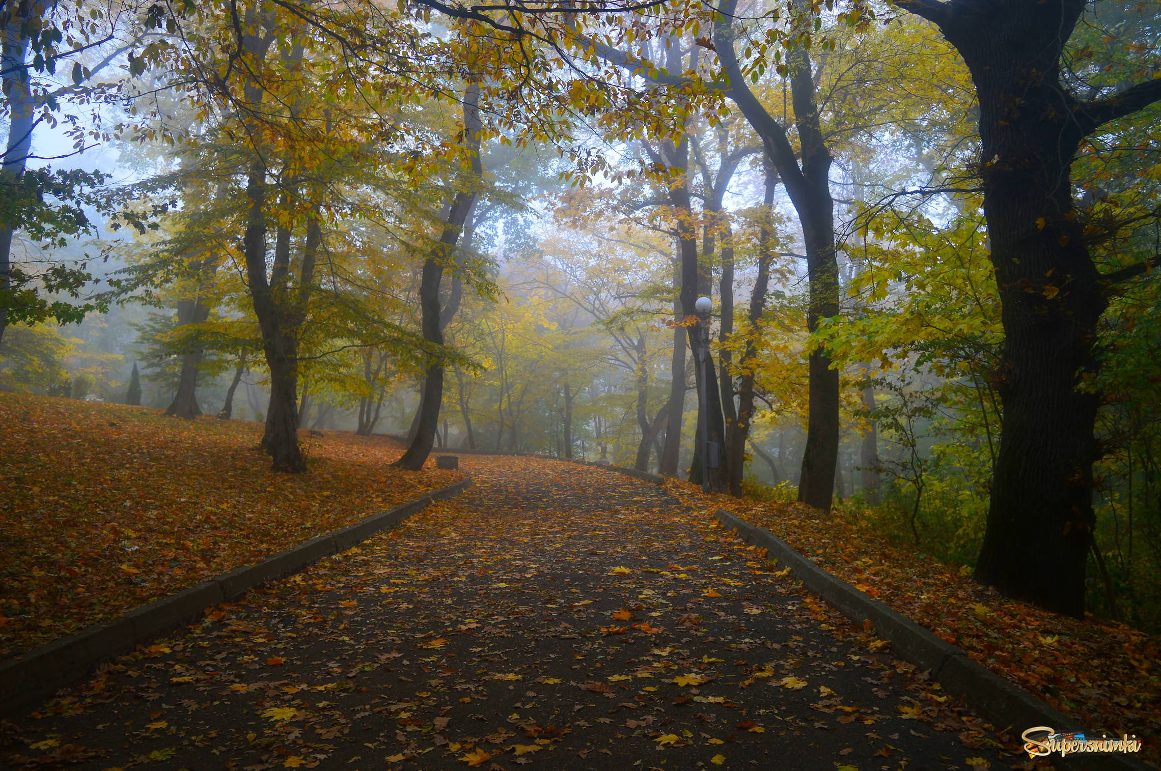В парке осеннем тихо падали листья......