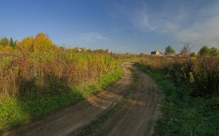 Осеннее утро