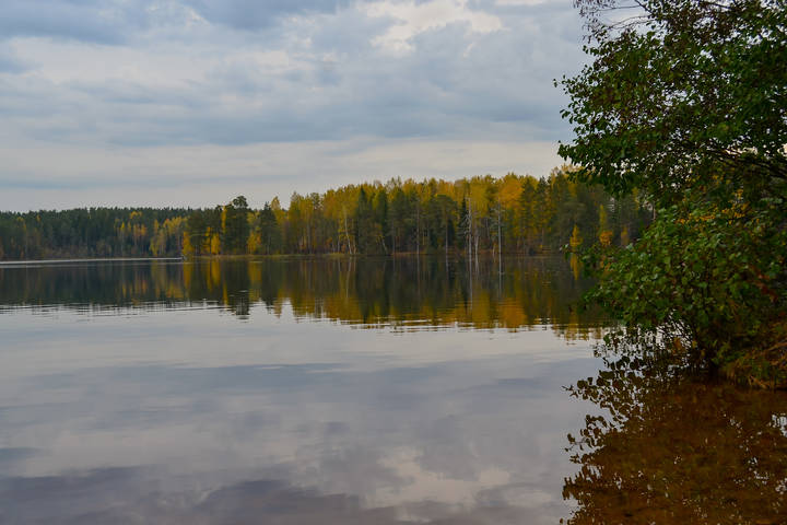 В октябре...