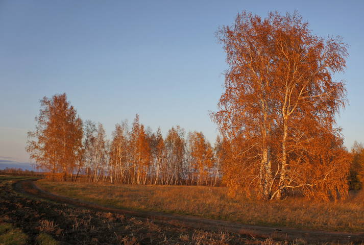 Осень в лучах уходящего дня.