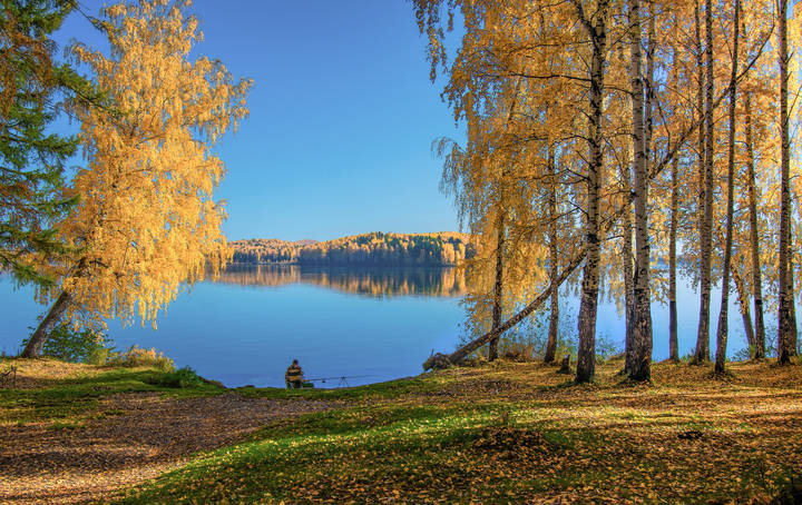 Осеннее утро