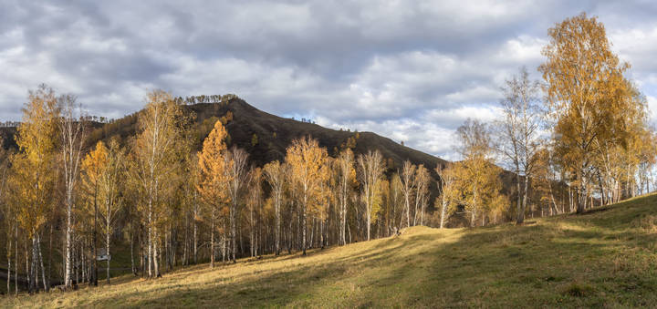 Золотая осень