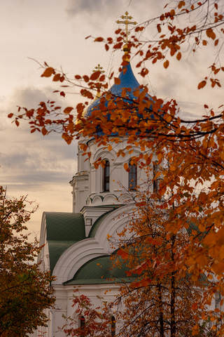 Осень из моего окна