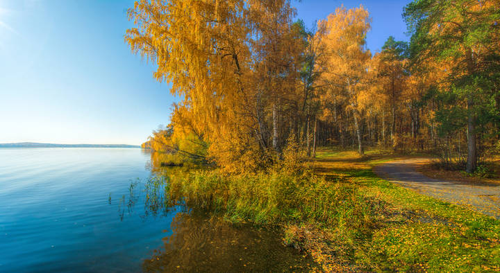 Как хороши осенние денечки
