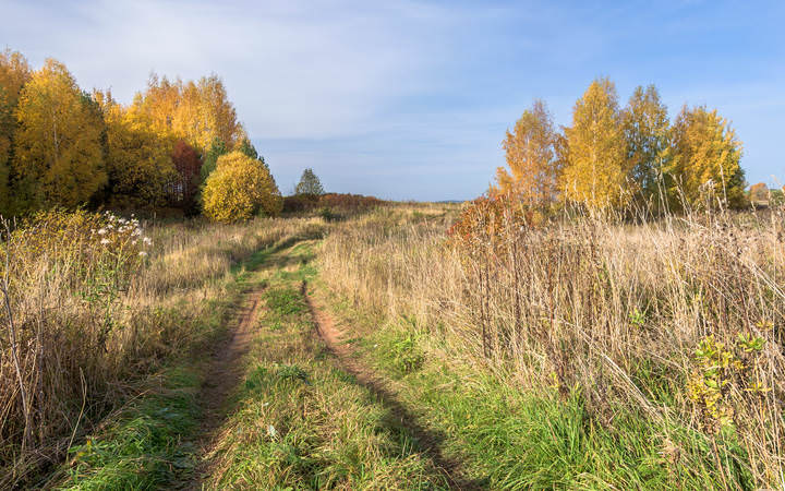 Дорогами осени