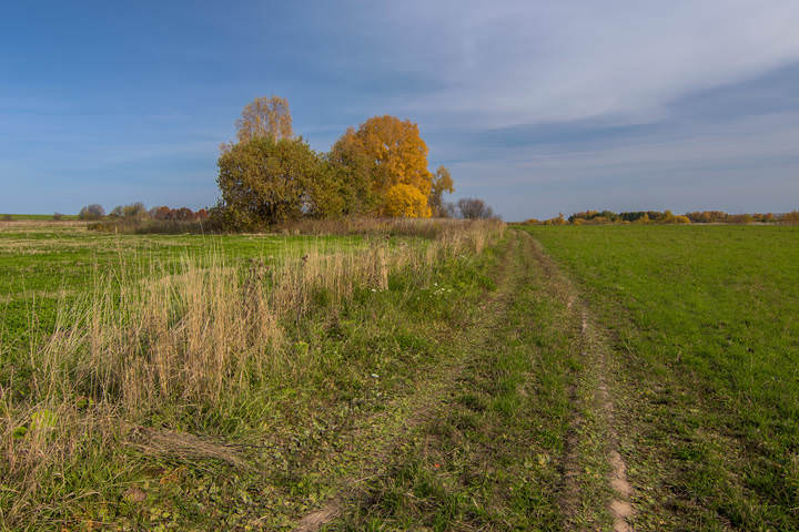 Дорогами осени