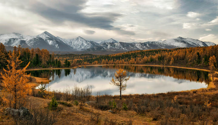 Тишина осеннего утра...