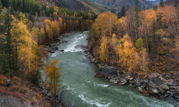 Осенний
