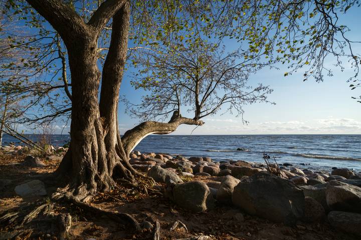 Осень на берегу