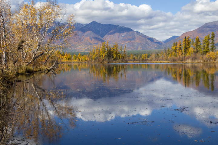Зеркало осени