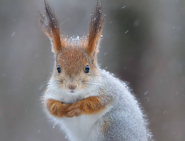 # 1