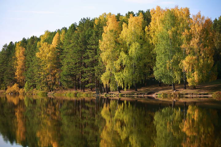 Осенний день
