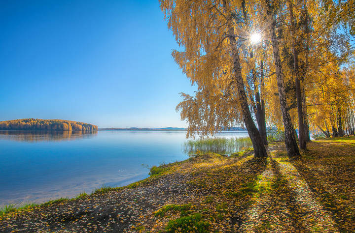 Осенний полдень