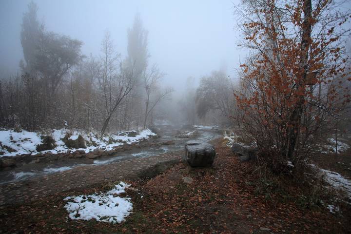 И всё таки осень 