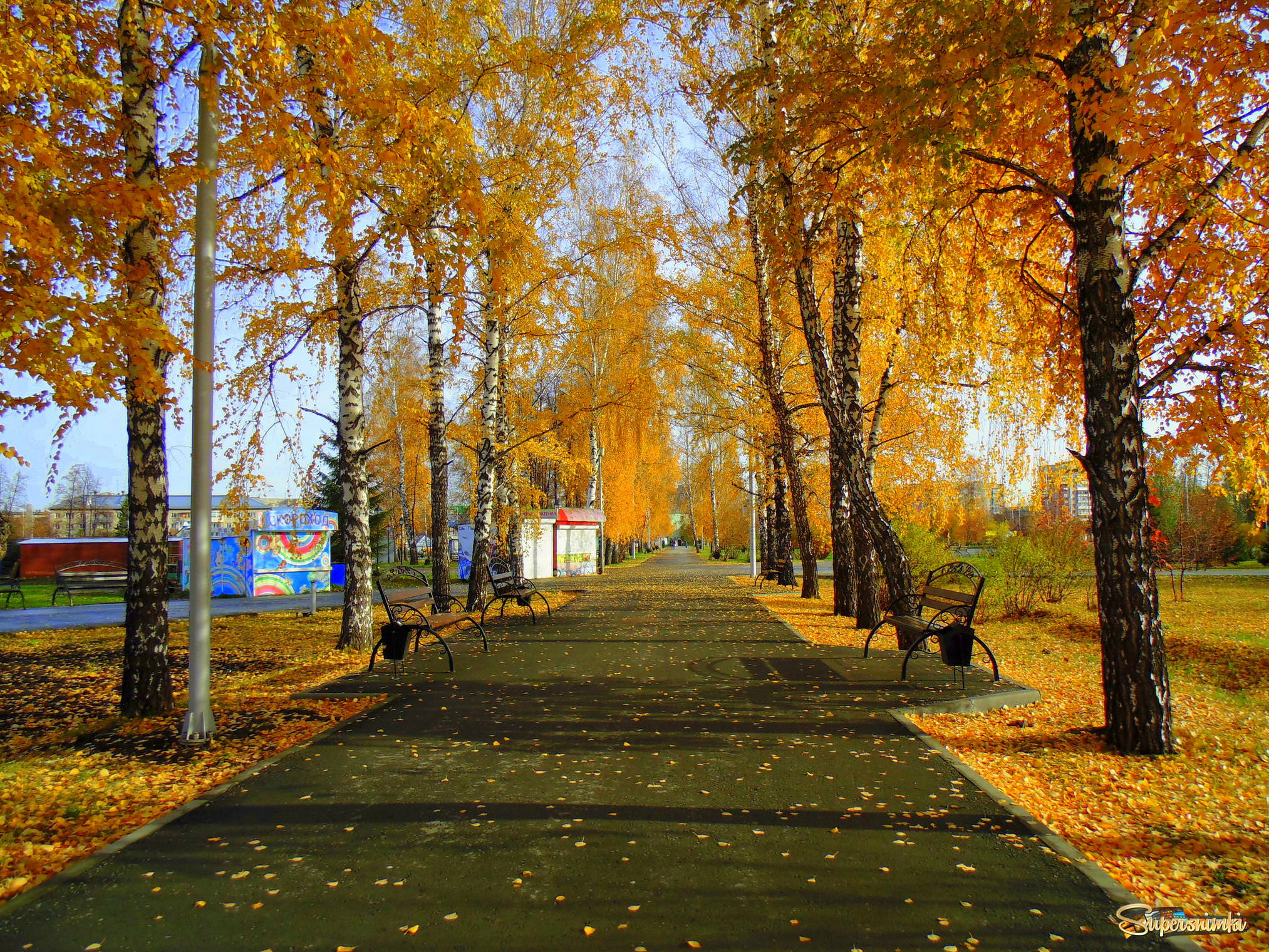 Осень в парке городском .