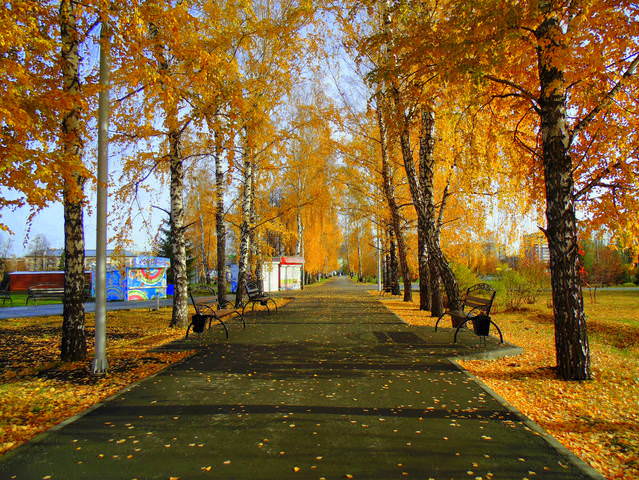 Осень в парке городском .