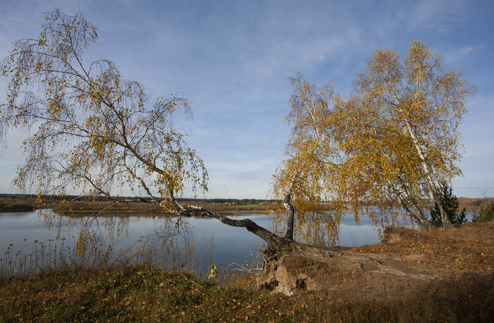 На краю осени