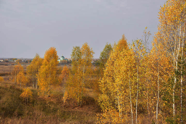 Прогулка в золотую осень
