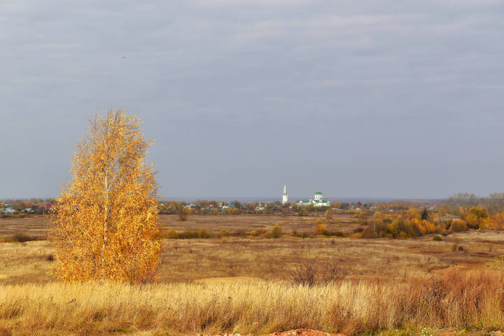 Осень золотая гуляет по полям...