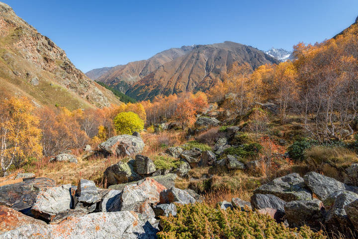 Чегемская осень