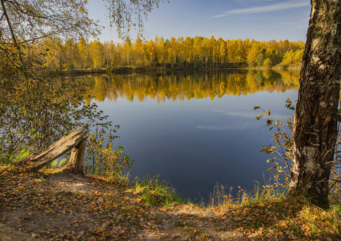 Золотая осень