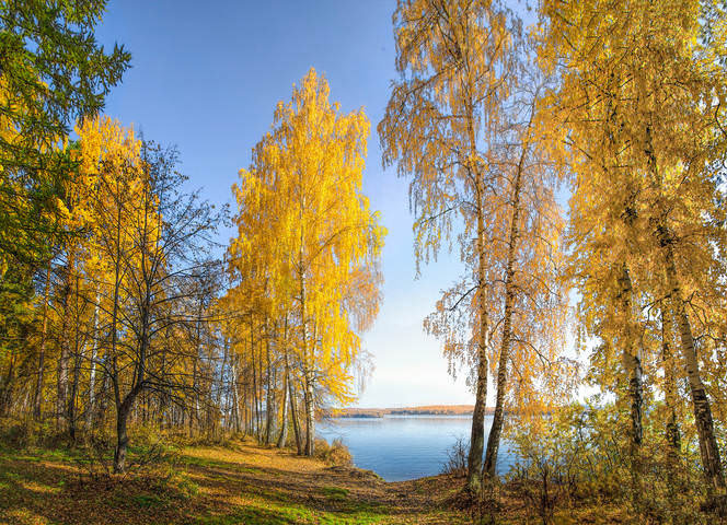 У озера