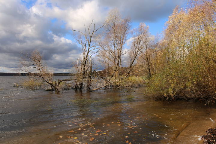  Осенний берег