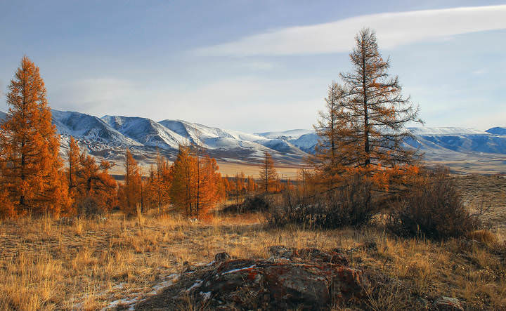 Курайская осень