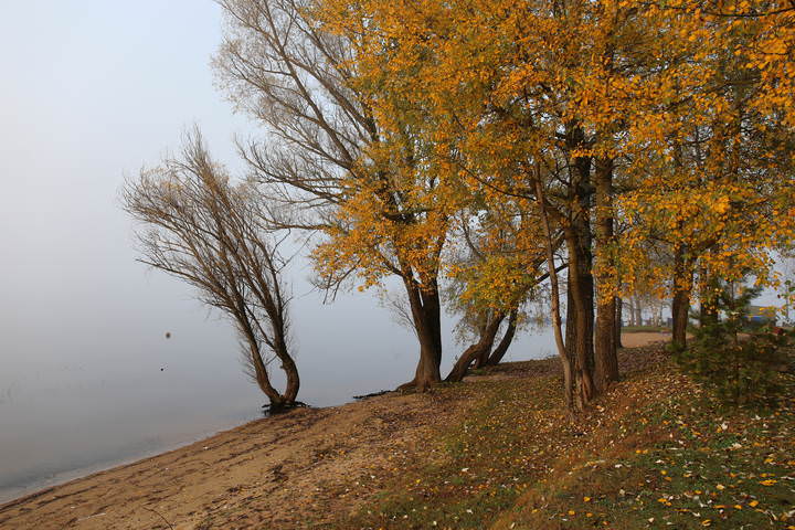 Осень