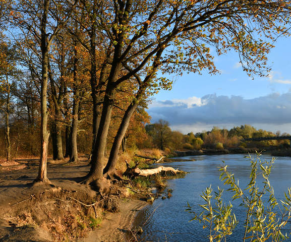 Осенний берег.