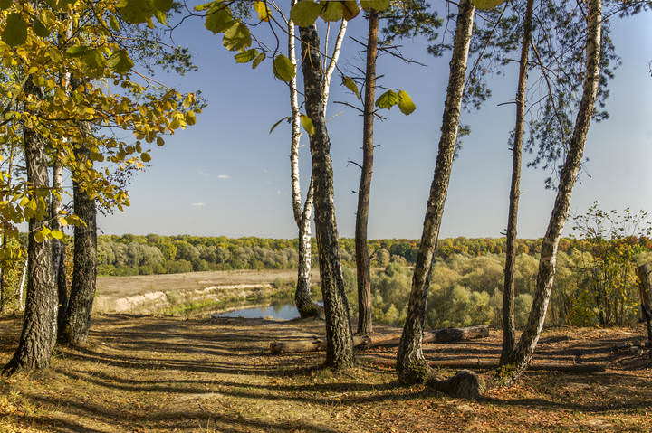 Осень