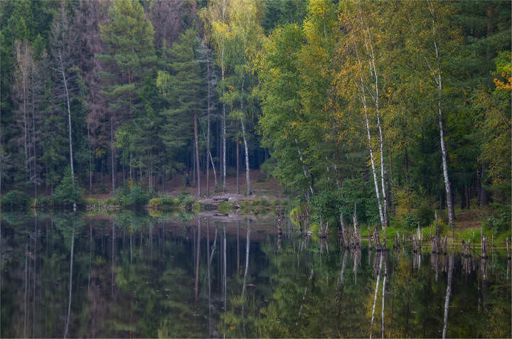 За грибами вдоль лесного озера