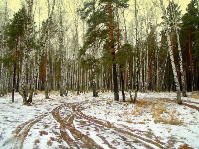Конец октября .