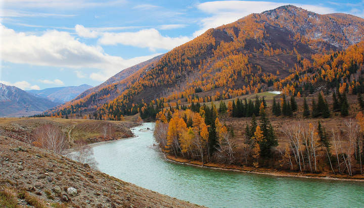 Осенние повороты