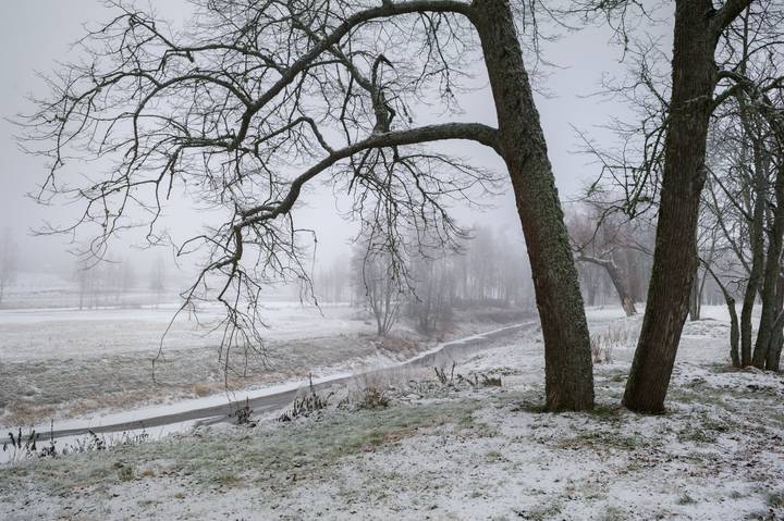 Во сне