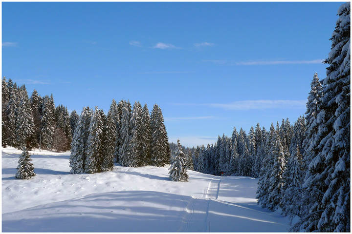 Дорожка