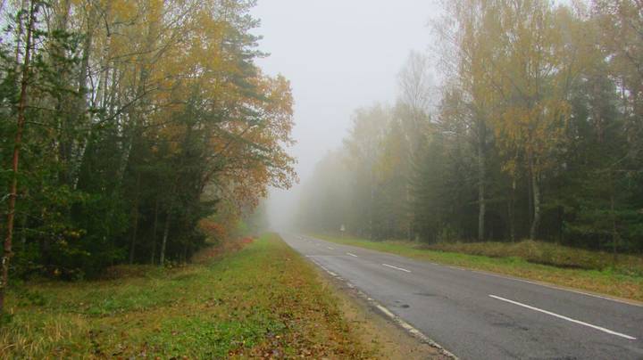 Утренний туман