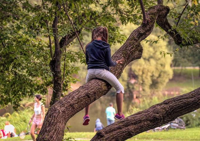 # 1