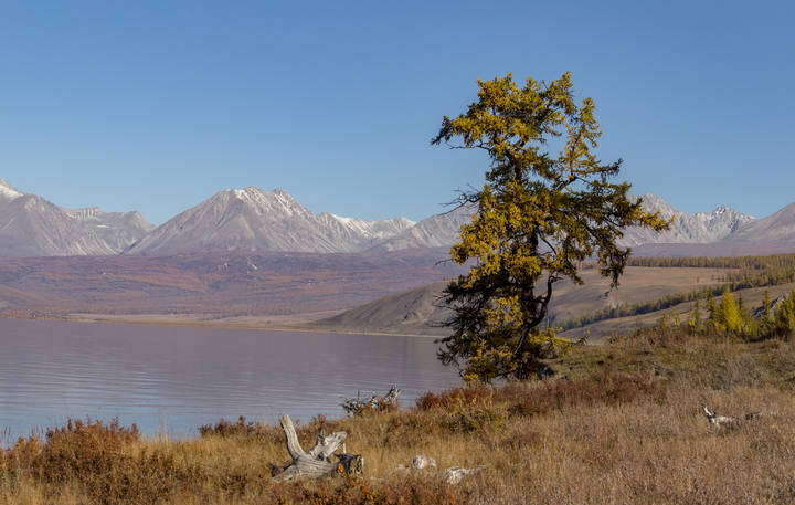 Осеннее утро